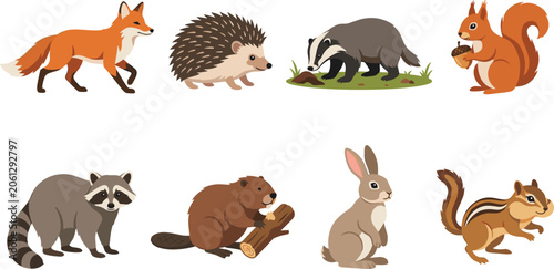 Photography Forest Animal Vector Collection with Fox Hedgehog Beaver Raccoon and Rabbit