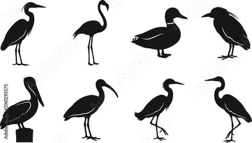 Foto Water Bird Silhouette Collection with Heron Flamingo Duck Pelican and Wading Bir