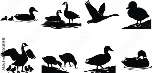 Tableau sur toile Waterfowl Silhouette Collection with Ducks Geese Goslings and Nesting Bird Vecto