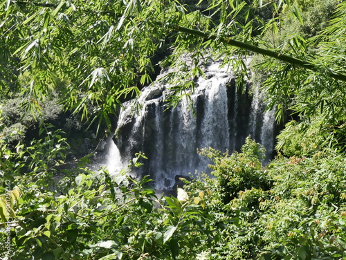 Quadro su tela Scenic tropical waterfall seen through lush greenery in Sainte Suzanne, la Reunion
