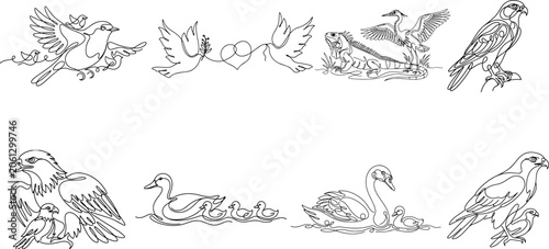 Foto Vintage bird illustrations collection line art ornithological drawings