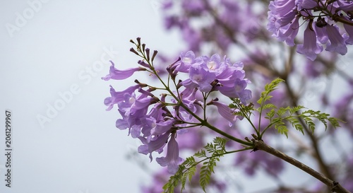 Vibrant purple bell flowers flourishing on a branch illuminated by soft natural light. AI Generated