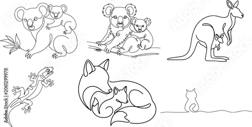 Photography Australian wildlife illustrations for kids