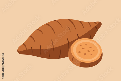 Hand drawn illustration of a whole sweet potato alongside a cut slice showing the orange flesh of the nutritious tuber vegetable.