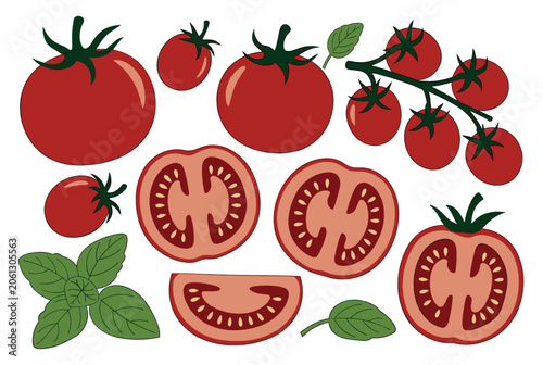 Comprehensive collection of various red tomatoes including whole fruit slices and cherry tomatoes on a vine with fresh basil.