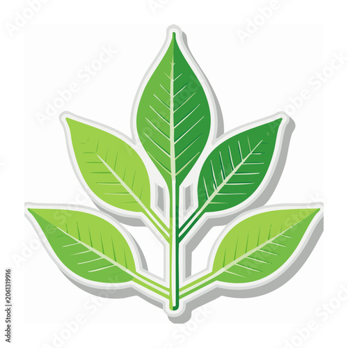 Green Leaf Cluster with Stem, Flat Design Illustration