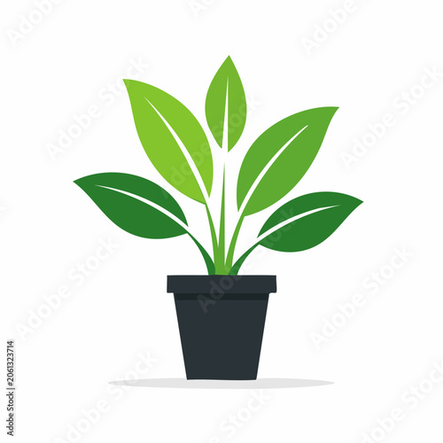 Potted green plant illustration