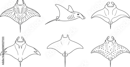 Set of elegant manta ray illustrations in various outline styles showcasing their graceful underwater forms and unique patterns on transparent background.