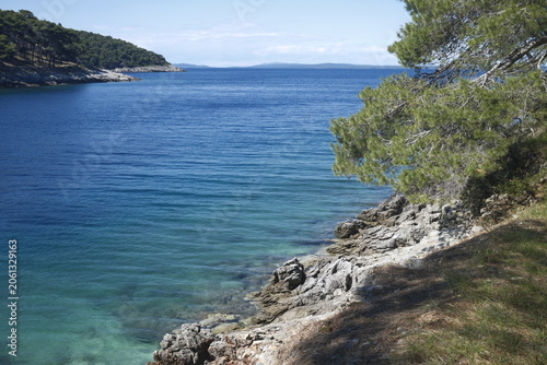 Coastal Croatia, deep blue sea with rocky coastline and green pine trees, island of Lošinj, Adriatic Sea