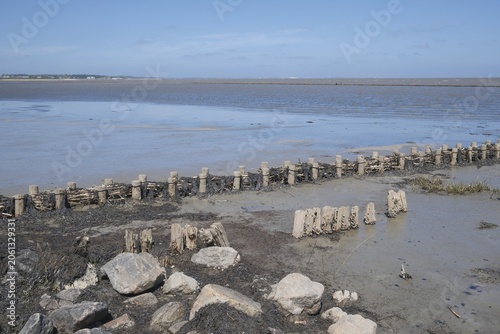 Schilderij op canvas Wadden Sea and tidal flats / wetlands with low wooden barriers on coastline of S