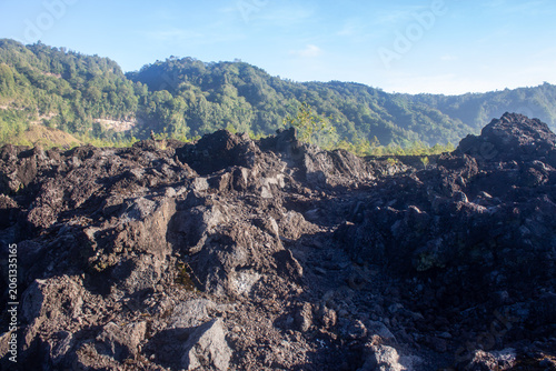 Mount Batur black lava field in Bali, Indonesia, with hardened volcanic rocks, emerging plants, and lush green forested hills behind.