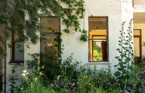Obraz na plátně An abandoned overgrown hotel braided with beautiful flowering plants