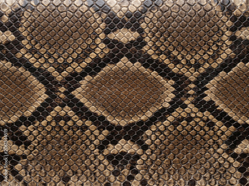 Close-up brown and black snake skin pattern.