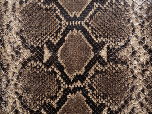Close-up brown and black snake skin pattern.