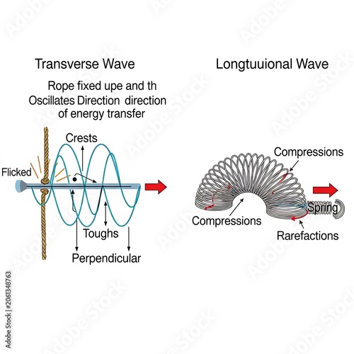 Comparison of transverse and longitudinal wave mechanics.