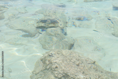 photograph of clear, shallow seawater with submerged rocks and coral.