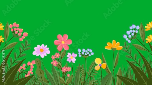 2d animation Floral border layout frame template with blooming colorful garden flowers animation on green screen. Beautiful spring meadow plants, roses and daisies background for environment design