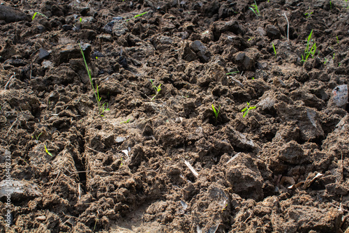 Photos Freshly tilled agricultural soil texture close up