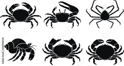 Photos Collection, crab, silhouette, icons, featuring, sea, creatures, marine, life, ocean, animal, seafood, aquatic, nature, black, hermit, king, shell, crustacean, wildlife