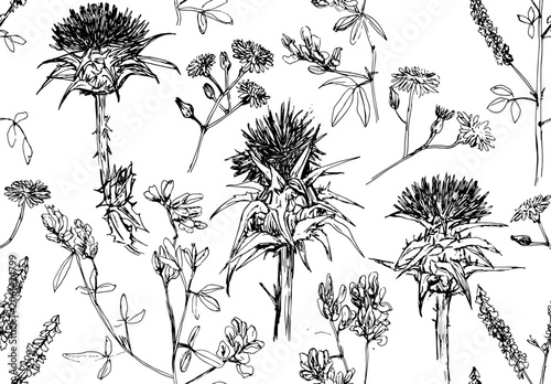Canvastavla Patrón hecho a mano y vectorizado, flores silvestres, línea negras sobre fondo blanco, cardos, flores de campo, margaritas