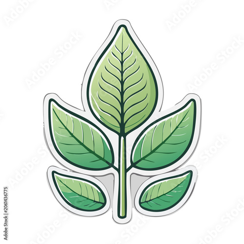 Green Leaf Illustration with Transparent Background