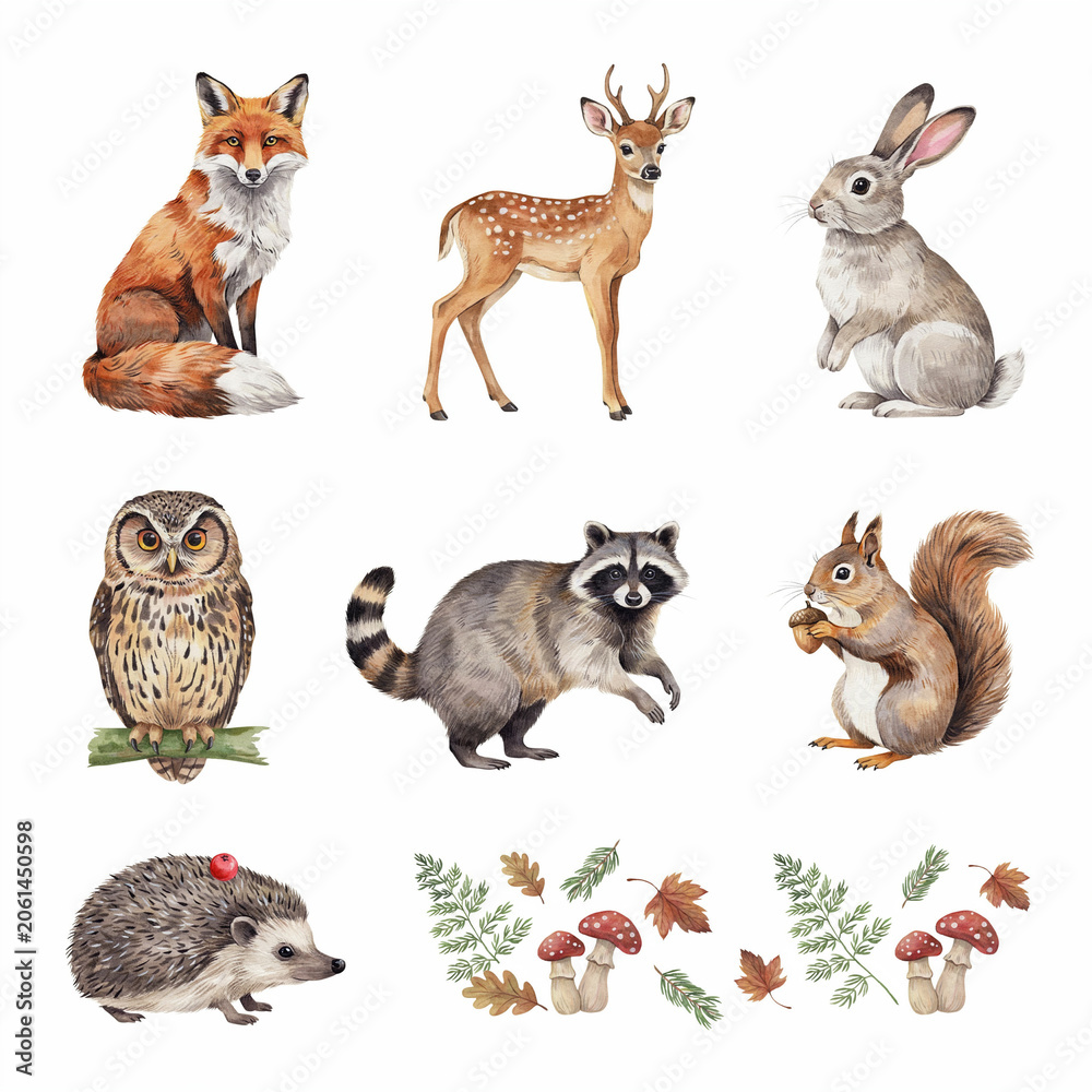 Fototapeta premium Forest animals including a fox, deer, rabbit, owl, raccoon, hedgehog, and squirrel are displayed as individual watercolor illustrations on a white background.