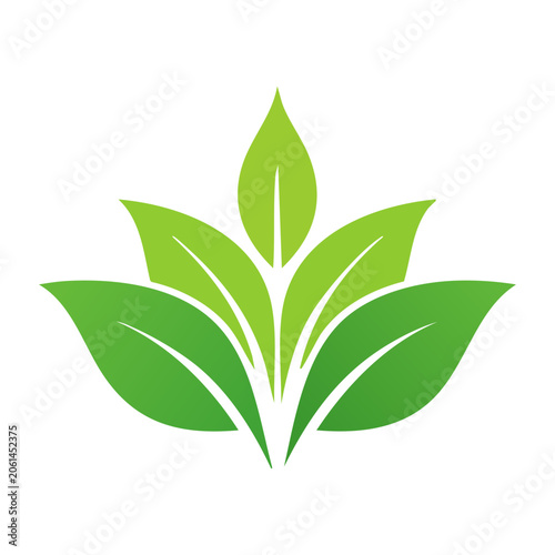Green Leaf Icon with Transparent Background