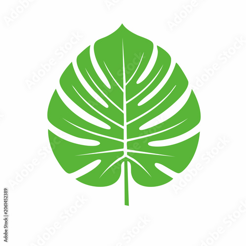 Green Monstera Leaf Icon