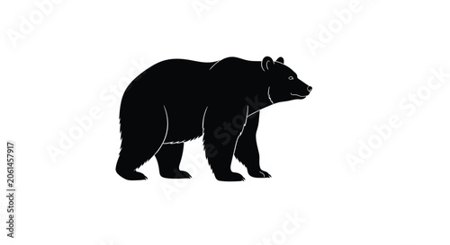 Photography African wildlife silhouette collection lion elephant giraffe bear and monkey