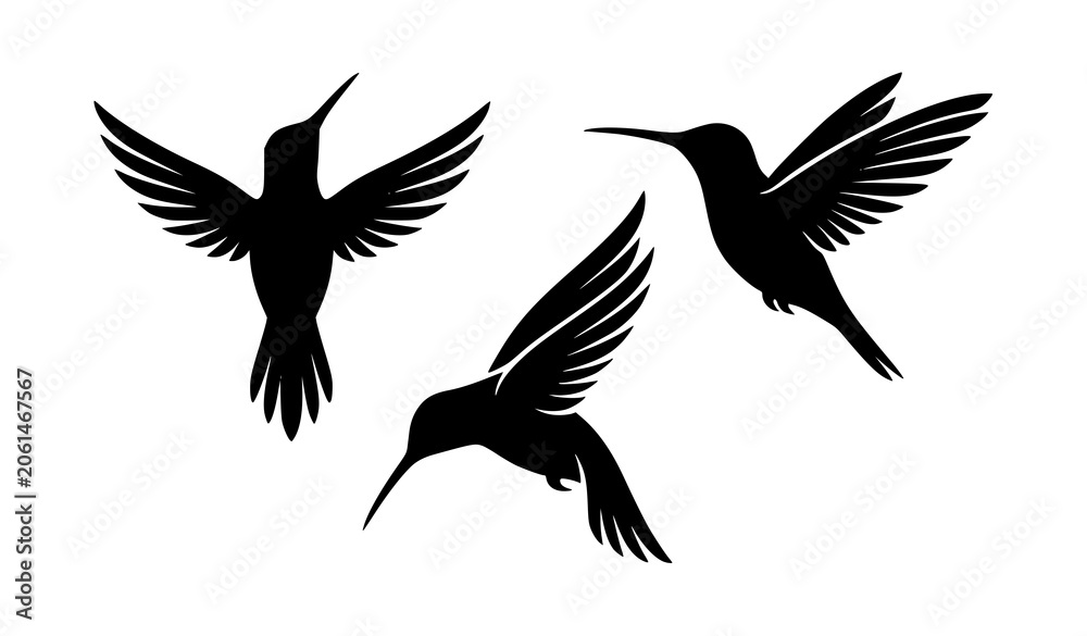 Fototapeta premium Elegant Black Hummingbird Silhouette Set with Three Flying Birds Vector on White Background