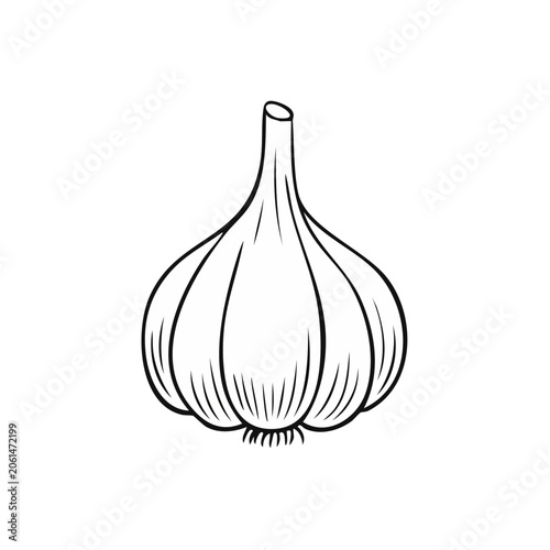 Stylized Line Art Illustration of a Whole Garlic Bulb for Culinary and Design Projects