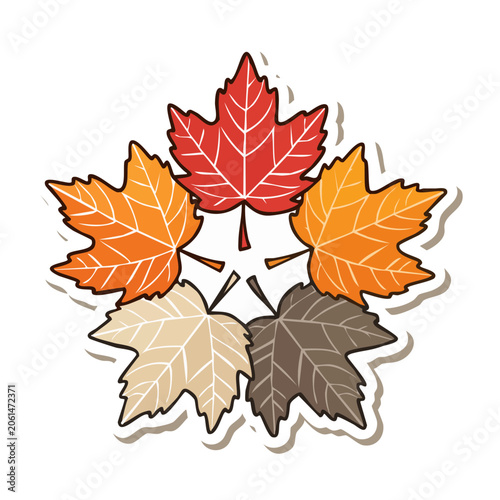 Colorful autumn maple leaves illustration