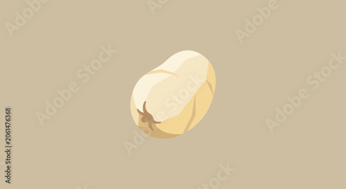 Foto Minimalist Illustration of a Single Raw Potato
