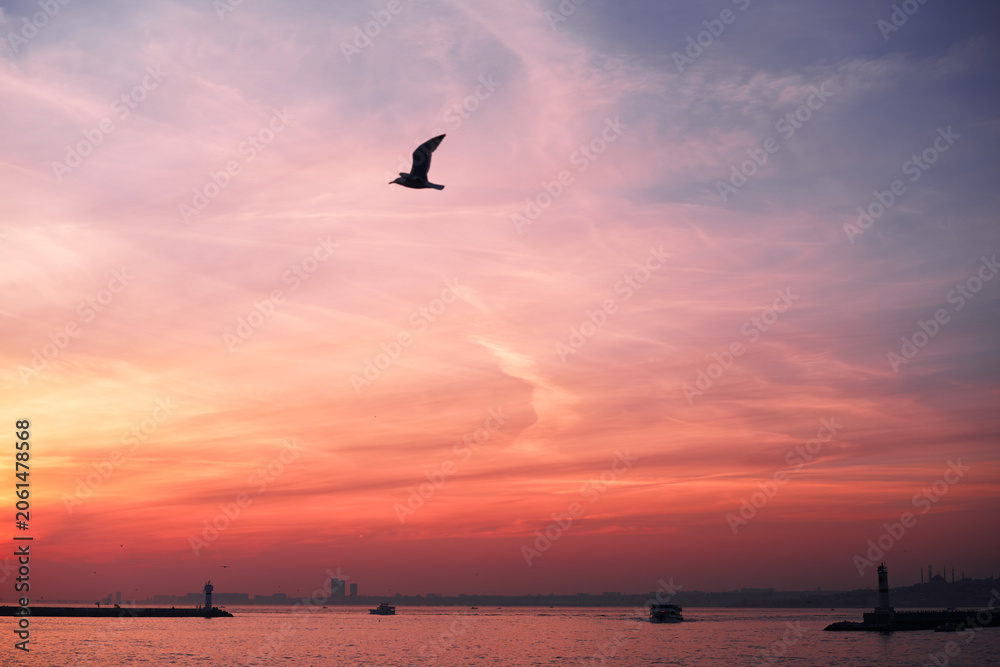 Fototapeta premium Bird silhouette above calm water at vivid pink sunset, with lighthouses and distant skyline creating a serene harbor panorama.