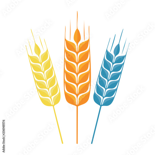 Three colorful wheat stalks on white background