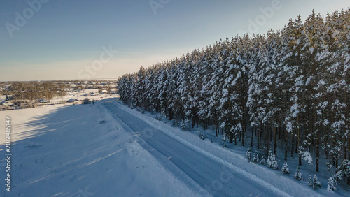 winter road edge of the pine forest