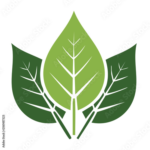 Green Leaf Icon with Veins and Stem