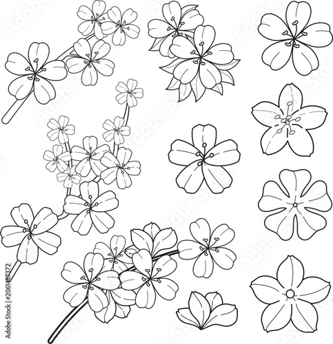 Canvastavla Traditional japanese mon flower emblem graphic package for identity design brand