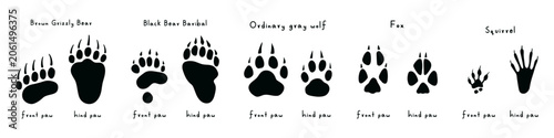 Canvas Print Vector illustration of front and hind paw prints of wild animals