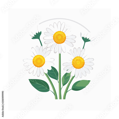 Flat design daisy flower vector isolated