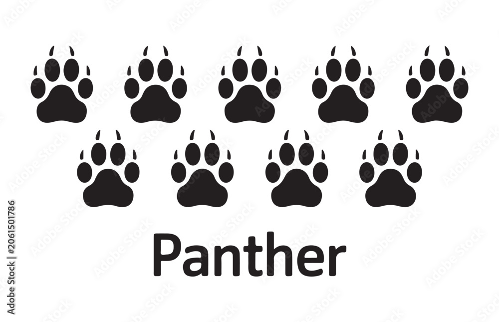 Fototapeta premium Ten panther paw prints and word panther on transparent background wildlife footprints.