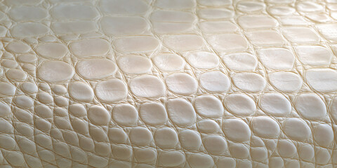 Macro photography of white crocodile leather texture with soft lighting and natural scale patterns
