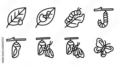 Konstfotografi Butterfly Life Cycle Icons, Metamorphosis Stages Vector Set, Insect Transformati