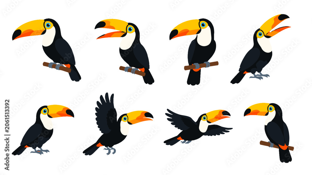 Obraz premium Set of cartoon toucan birds in different poses