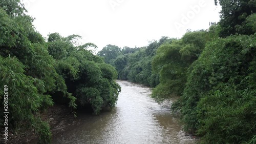a river with murky water next to shady trees. nature background