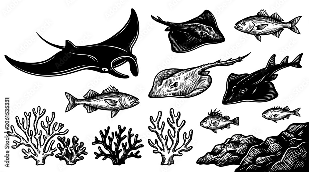Obraz premium Marine animals and coral reef set in engraved vector style
