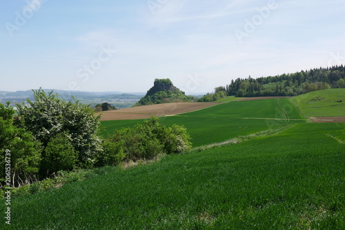 Frühling im Hegauer Kegelbergland mit Blick zum Bergkegel der Burg Hohenkrähen
