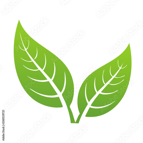 Flat design green leaf vector illustration