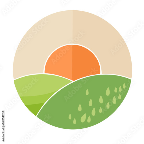Sliced lime with orange wedge and leaf