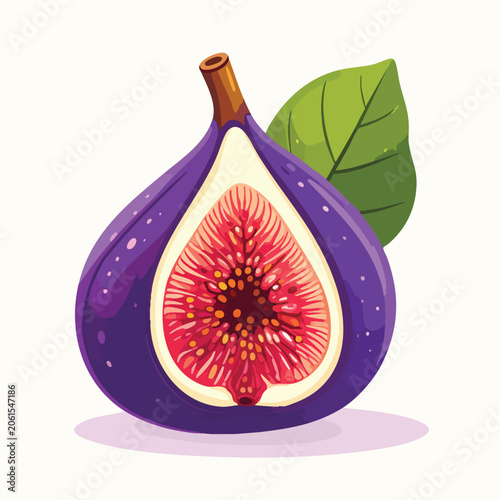 A beautiful illustration of a sliced purple fig fruit with a green leaf.